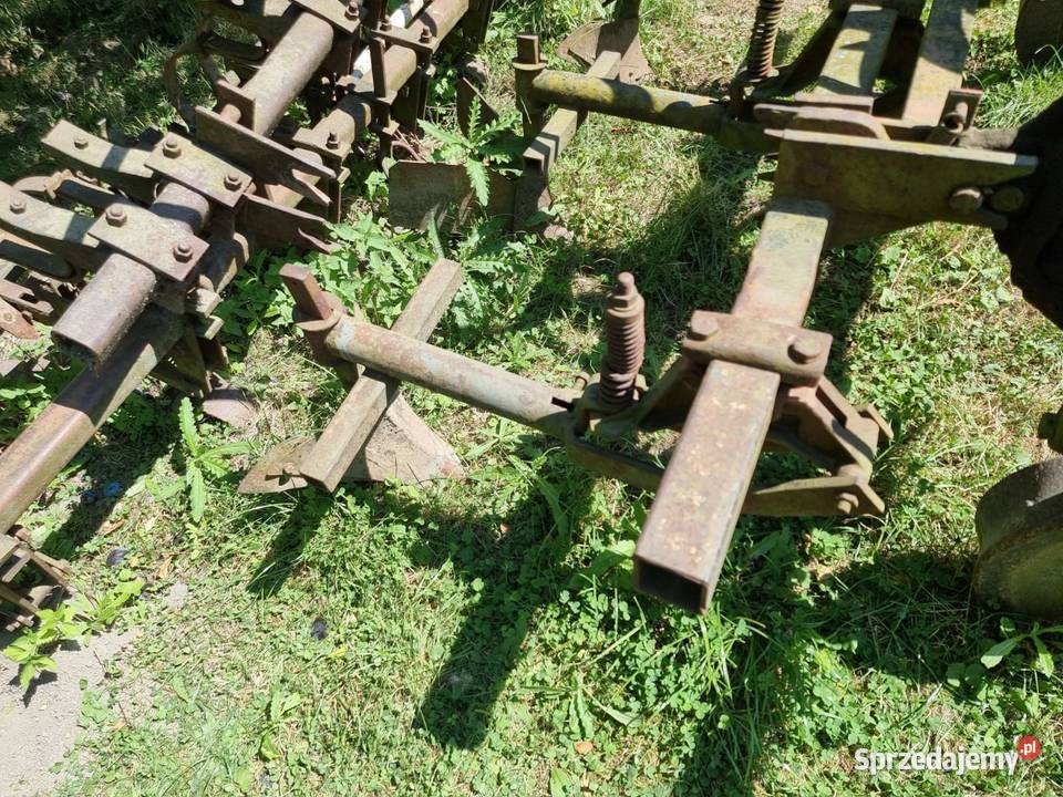 Wielorak pazurki obsypnik dołkownik Goczałków