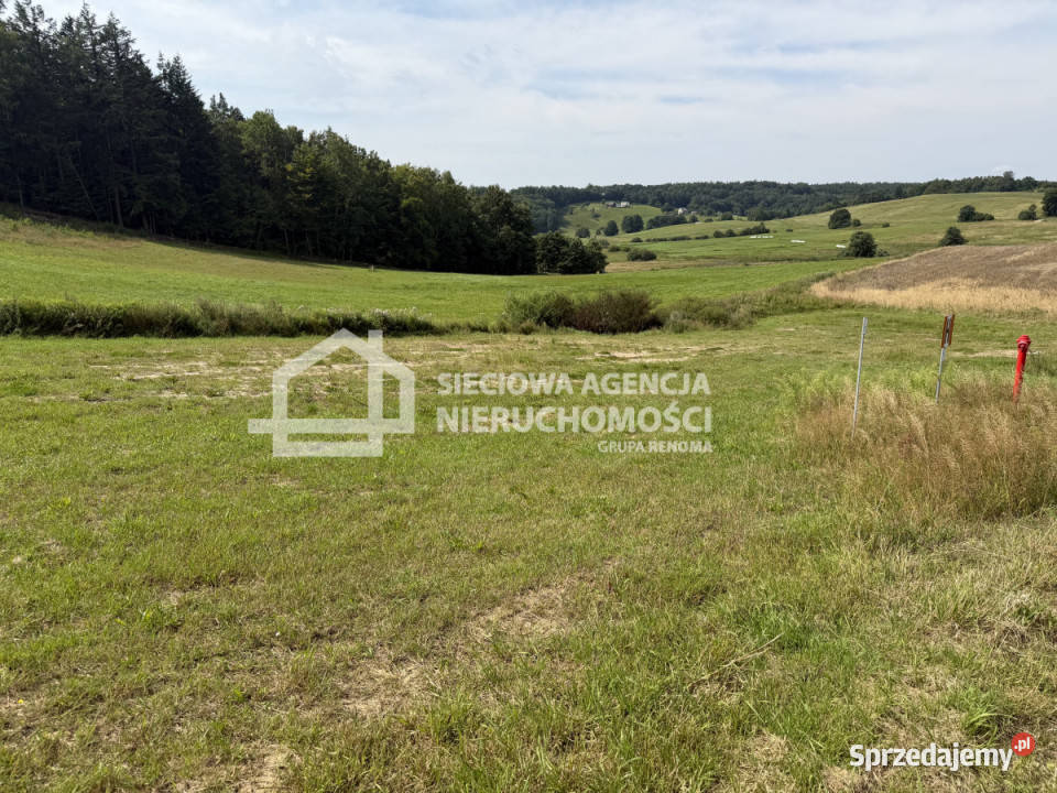Działka do sprzedania Kobysewo 1000m2 woda sprzedam