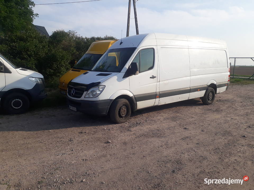 Mercedes Sprinter 313Cdi klima e5 om651 kujawsko-pomorskie Brześć Kujawski sprzedam