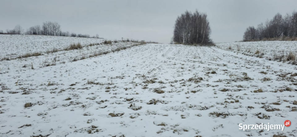 Sprzedam działkę rolną 5800 m Garlica Murowana małopolskie