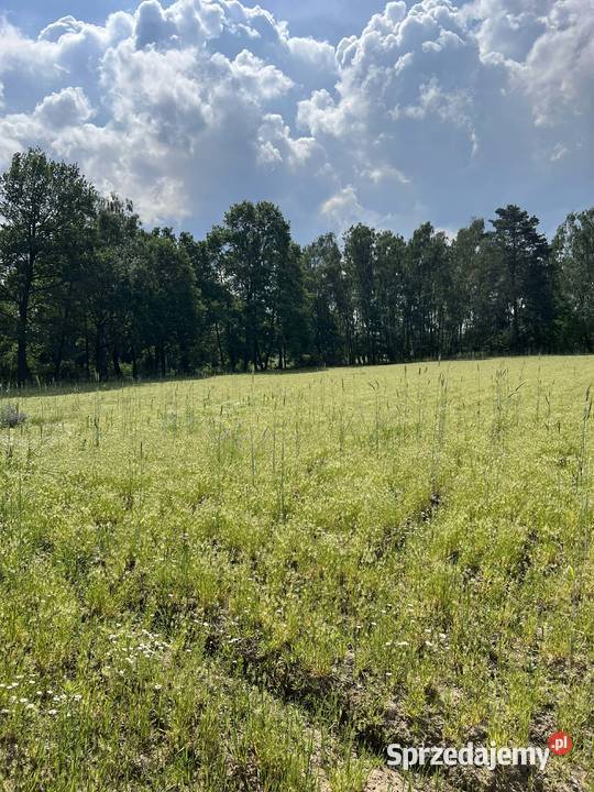 Działka 30 ar z Pozwoleniem na Budowę i Mediami Dalików