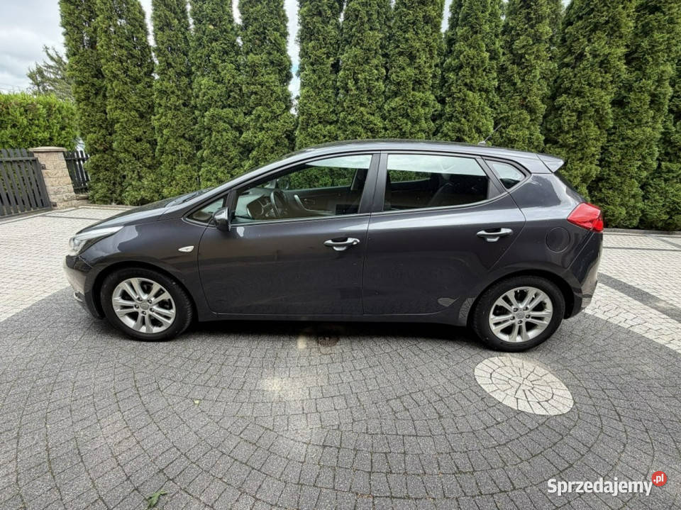 Kia Ceed Serwis Pakiet Zima Super Stan GWARANCJA wielofunkcyjna kierownica