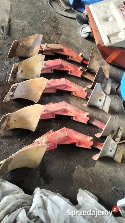 Przedpłużki kukurydziane do pługa obrotowego kujawsko-pomorskie