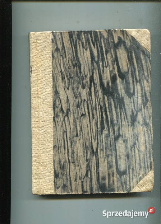 Jasny dzień JB Priestley Pozostałe Szczecin sprzedam