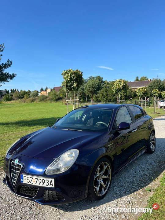 Alfa Romeo Gulietta wielkopolskie Obrzycko