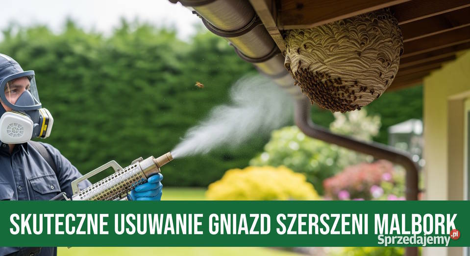 Zwalczanie Szerszeni Malbork Usuwanie Gniazd Zwalczanie szkodników, deratyzacja