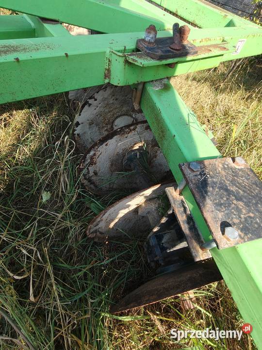 Talerzowka Bomet 240 Zbuczyn