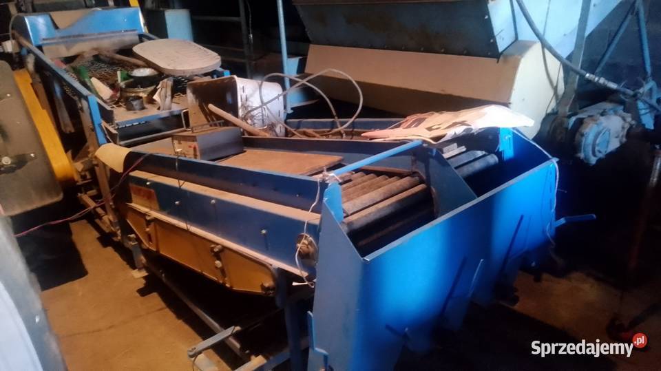 Kombajn ziemniaczany Anna Z 644 sortownik do Rolnictwo mazowieckie