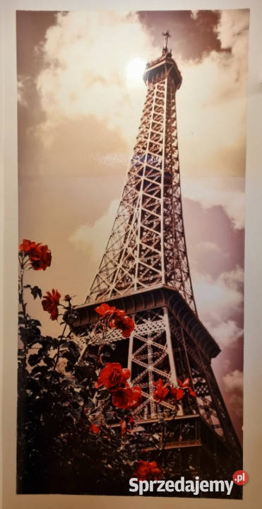 Kawalerka świetna Łódź