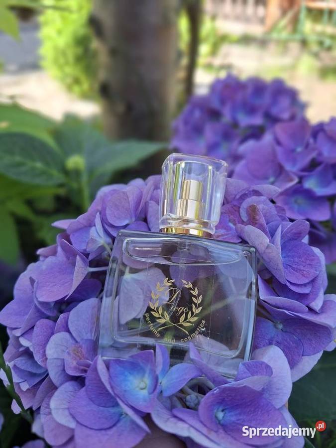Perfum Paco Rabanne One Milion Katowice