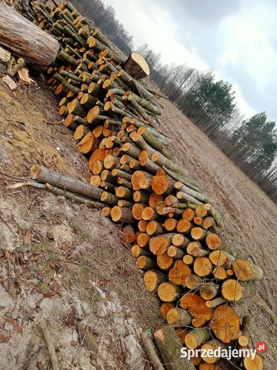 Olszyna olcha metry opał