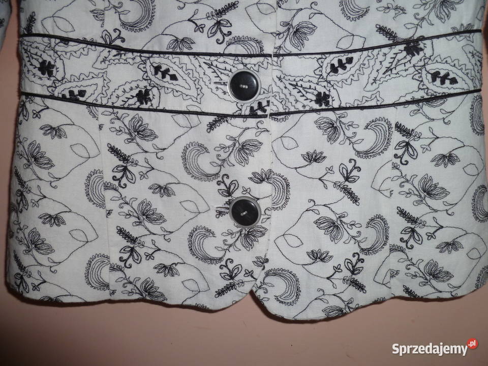 Zakieik czarnobiały Kraków