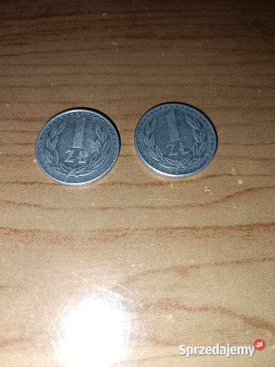 Stare monety kolekcjonerskie 1zloty zy roku 1987 kujawsko-pomorskie Tleń sprzedam