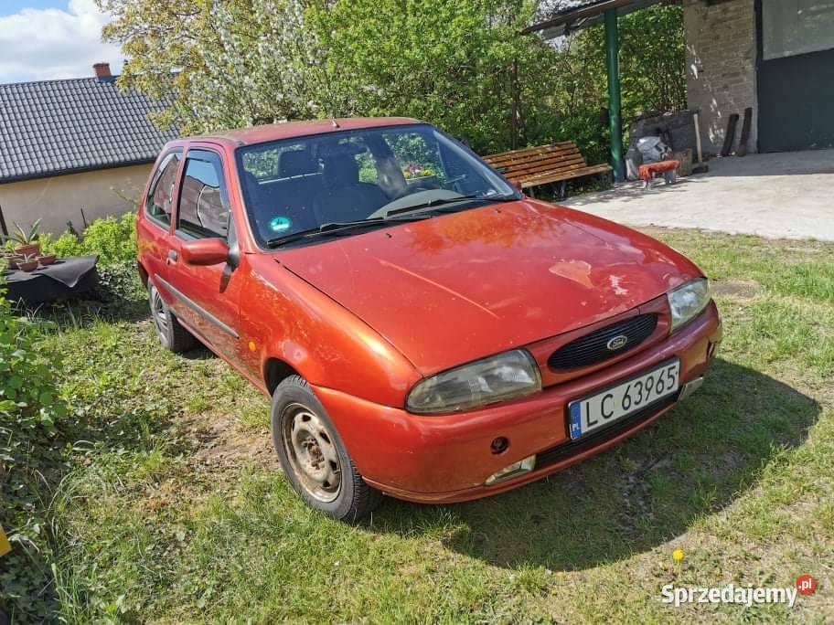 Zgrabny Fordzik kobiety lubelskie Rejowiec