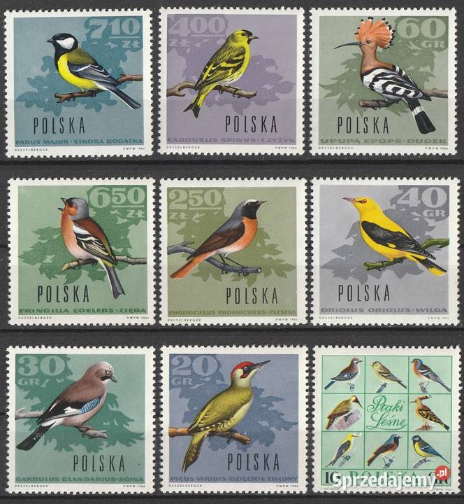 POLSKA PTAKI 1966 CZYSTE Łódź