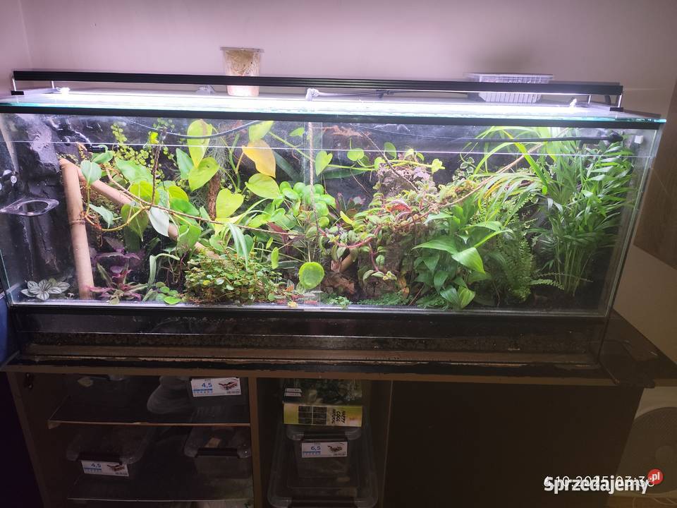 Terrarium bioaktywne 120x50x50