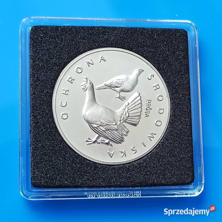 100 1980 r Głuszce próba Ochrona Środowiska Wrocław