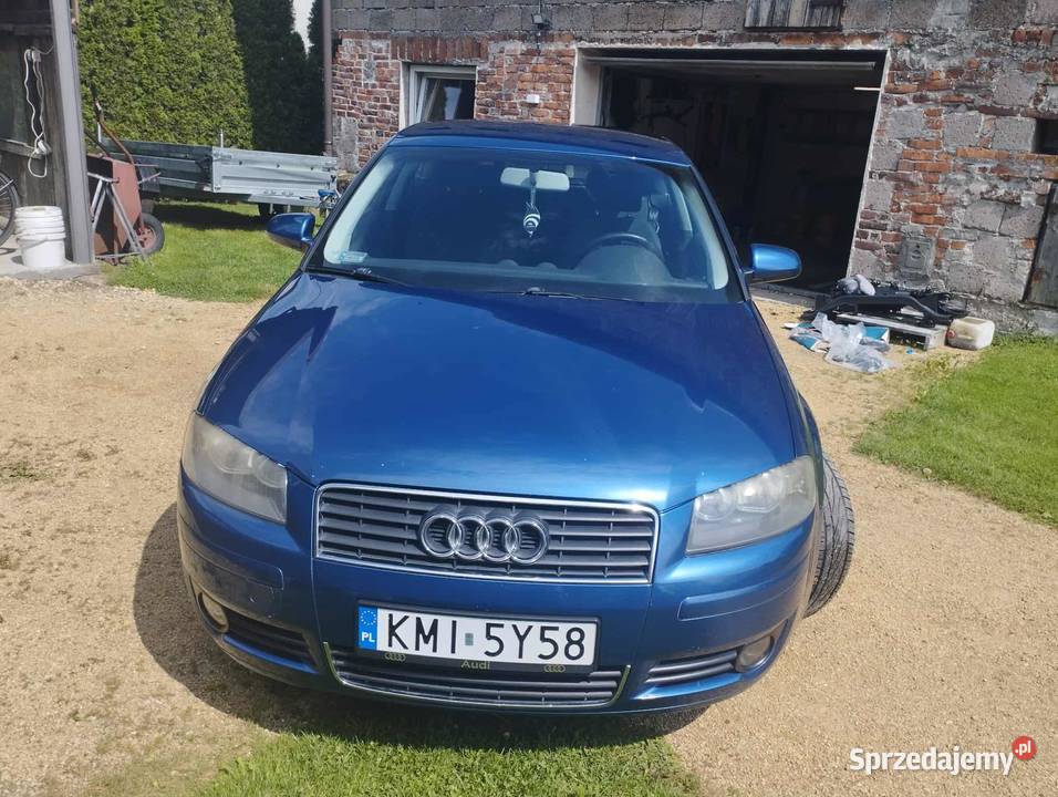 Audi A3 8p Zator
