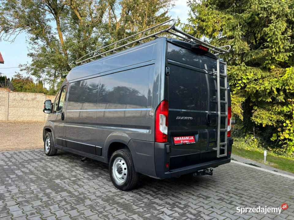 Fiat Ducato 202123 Złotniki Kujawskie