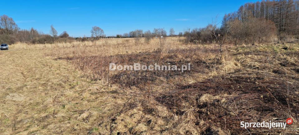 Działka Borek 4572m2 4572m2