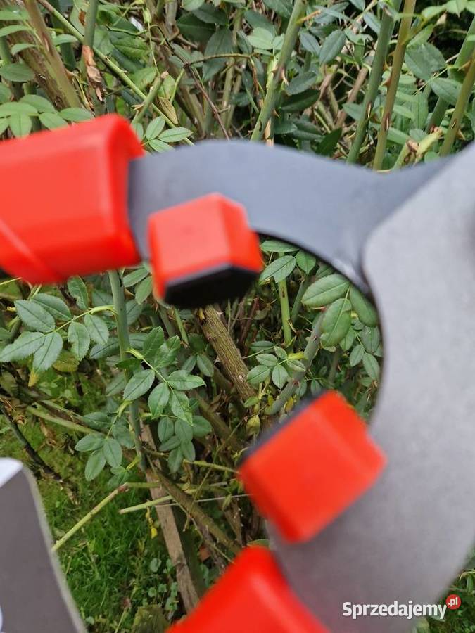 Nożyce do Żywopłotu Faliste 670mm PTFE Tvardy Głogowa