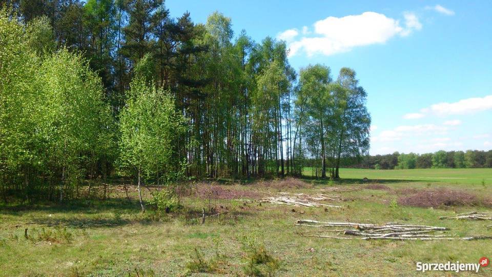 Działka budowlana w Stanisławowie k Warszawy Stanisławowo
