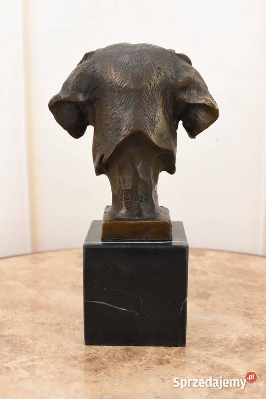 Głowa Pysk Psa Labrador Golden Retriever Figura małopolskie Kraków