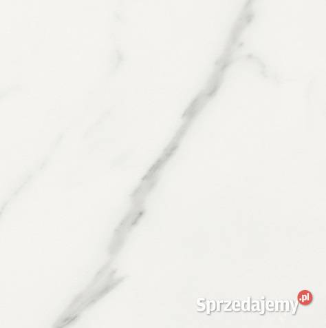 Gres Polaris Brillo 6060 HC Warszawa