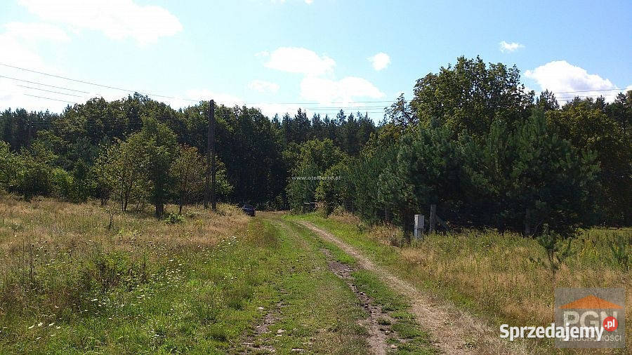 Sprzedaż działki 5000m2 Kołczewo okolica 2