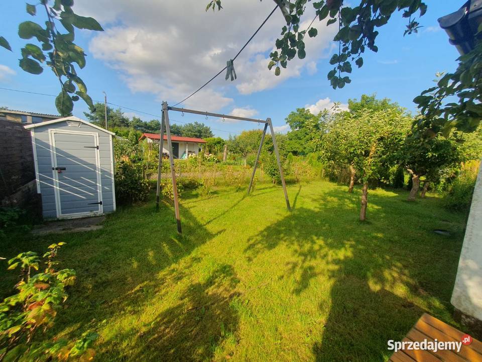 Działka ROD Kraszewskiego Pruszcz Gdański