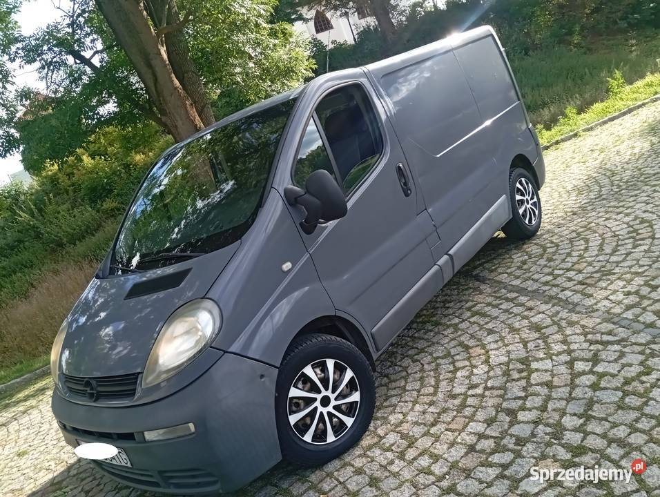 SPRAWNY BUS OPEL VIVARO 19 CDTI HAK ZAREJESTR szary mazowieckie Gostynin
