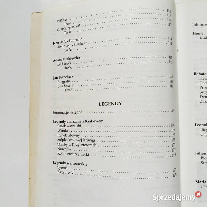 DStopka ESiemek 5 klasa Streszczenia i analiza Podręczniki Łódź