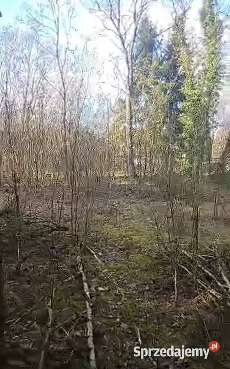 Sprzedam działkę Sprzedaż Ostrów