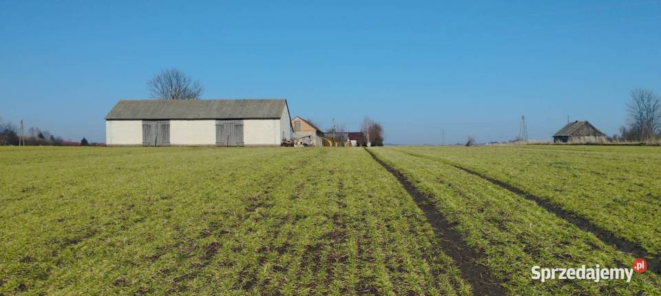Siedlisko Czernięcin 225 ha dom 148 m 600 000 węglowe Sprzedaż lubelskie sprzedam
