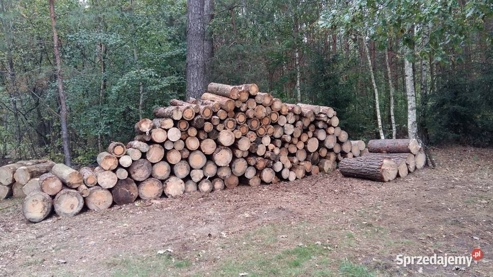 Drewno opałowe opał Sosna w grubych wałkach podlaskie