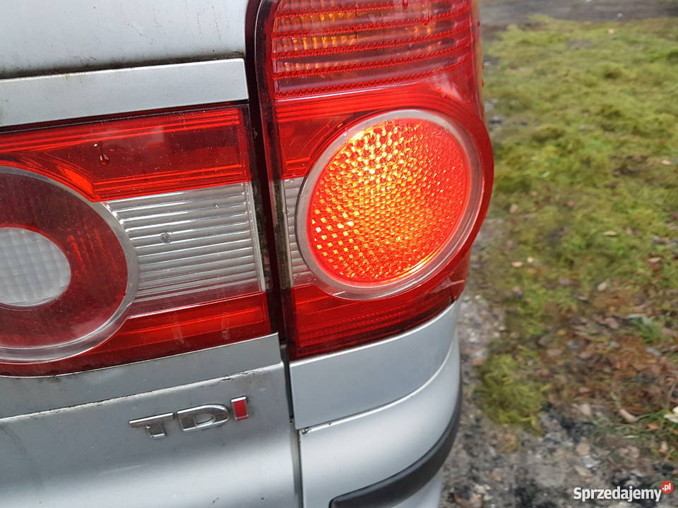 Sharan anglik w całości czesci Tuchola