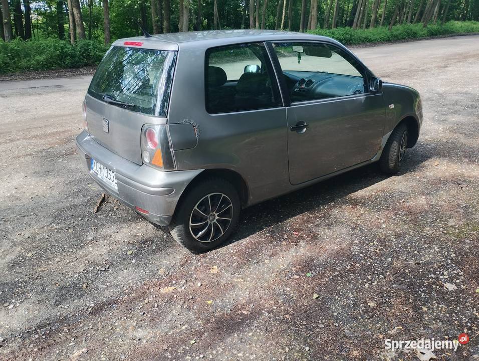 Seat Arosa 2004 10 Wspomaganie kierownicy Arosa Niekarmia