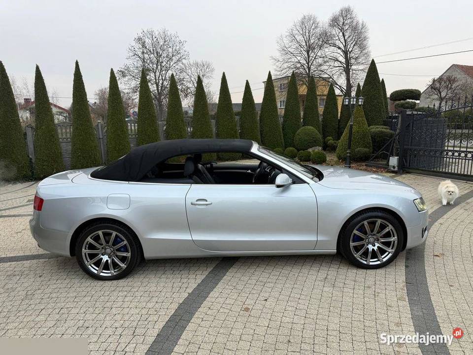 Audi A5 Cabrio 170 2012r Stan perfekcyjny Kabriolet Kona wielkopolskie