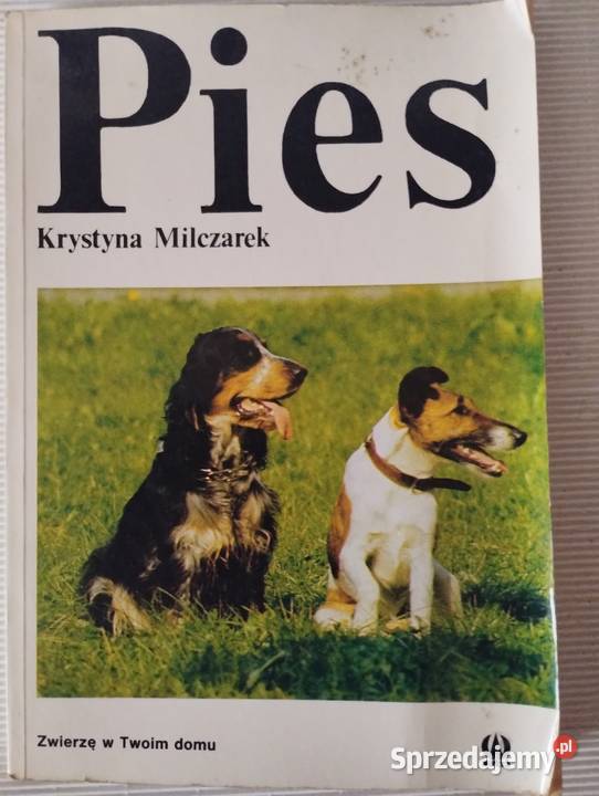 PIES Olkusz