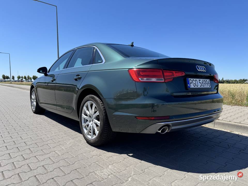 Audi A4 B9 2018 zielony A4