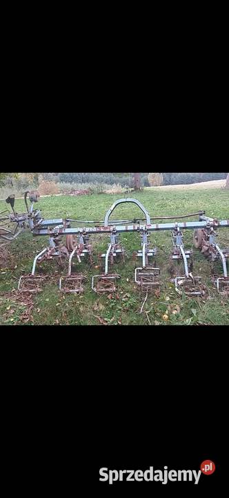 Wielorak pielnik nieuszkodzony Sarnówek Duży