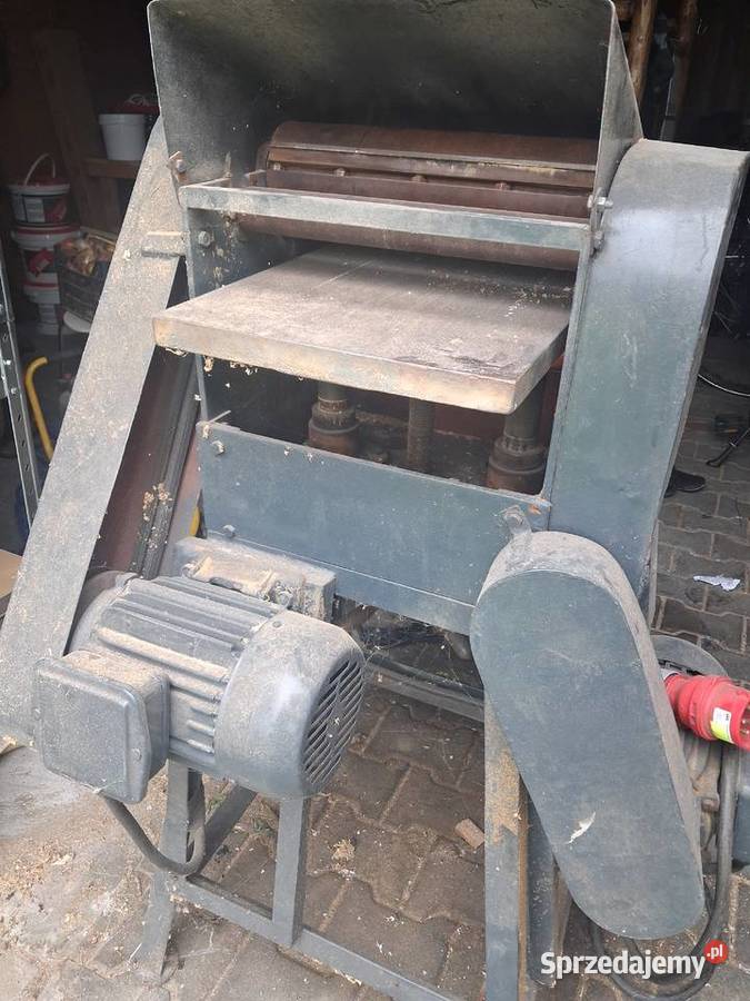 Grubościówka Brzeg