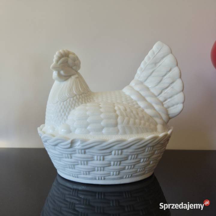 Kura Ząbkowice śląskie