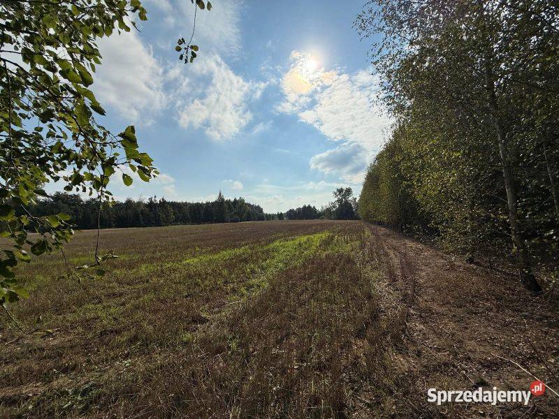 Piękna działka z warunkami zabudowy idealna pod