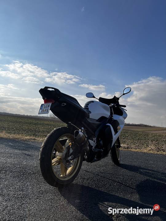 Yamaha tzr 50 biały Zamość sprzedam