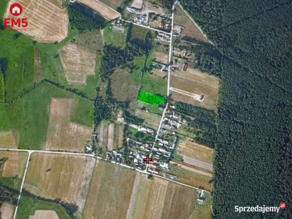 Grunt 2900m2 Kosmaty Borek sprzedam