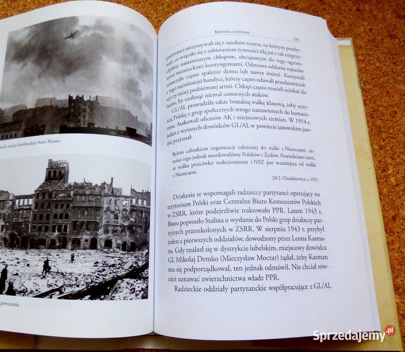x H Polski ruch oporu 19391947 Williamson Książki naukowe i popularnonaukowe mazowieckie