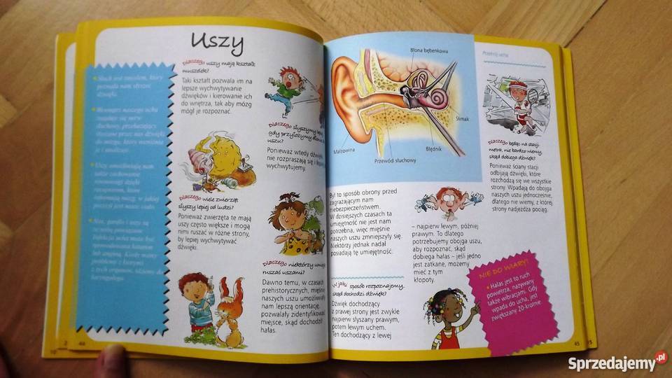 Obrazkowa encyklopedia dzieci Ciało Książki dla dzieci zachodniopomorskie Szczecin
