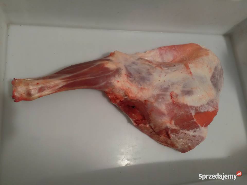 Jagnięcina świeża Czernichów