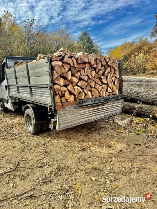 Tanie Drewno opałowe kominkowe Środa wielkopolskie Środa Wielkopolska